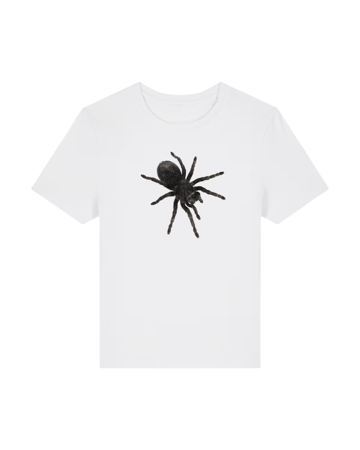 SPIDERS White T-Shirt + The "Blisters" Edition + Cassette + Signed Art Card